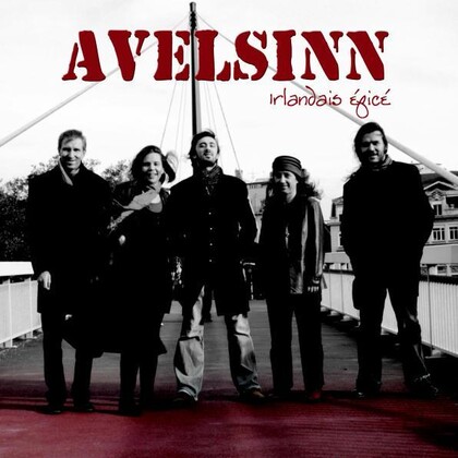 AVELSINN "Irlandais épicé"