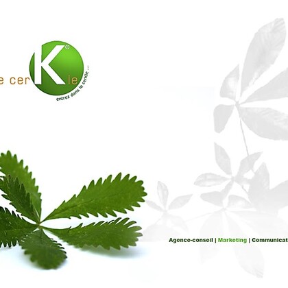 Agence conseil marketing et communication