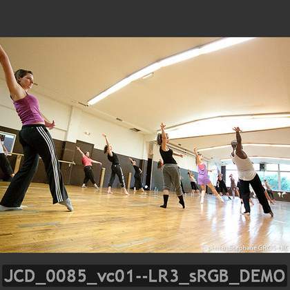 Stage d'hiver Centre James carlès "Danses, Toulouse Danse"