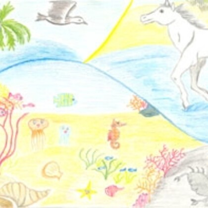 Anne OLERON, auteur illustratrice de livres pour enfants
