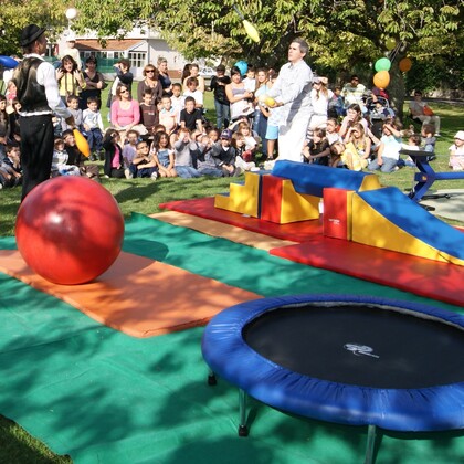 le manège du cirque