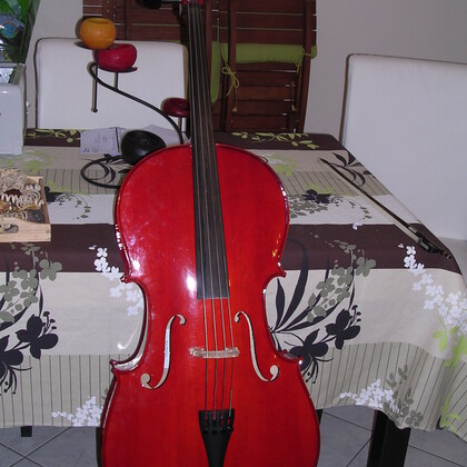 Vends violoncelle 3/4 ( + housse + archet )
