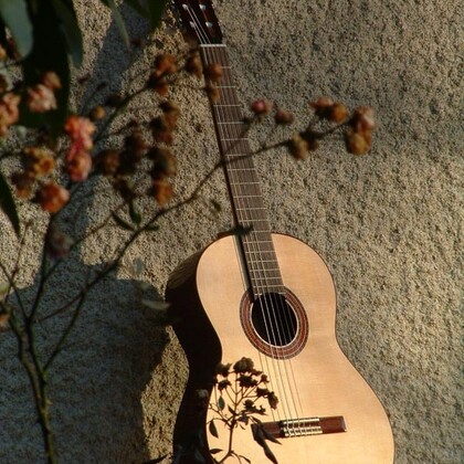 Cours guitare Rochefort sur mer