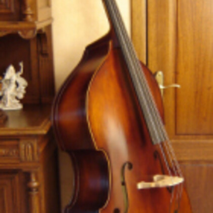 Bassiste, la contrebasse de tes rêves