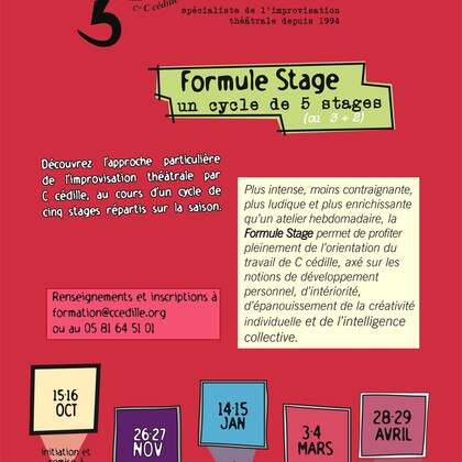 Formule Stage : Improvisation théâtrale