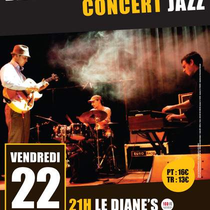 David Reinhardt Trio en concert !