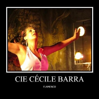 DANSE FLAMENCO AVIGNON 1 er cours d'essai gratuit