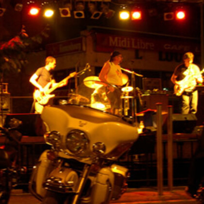 BLUESNAKE IN LIVE 