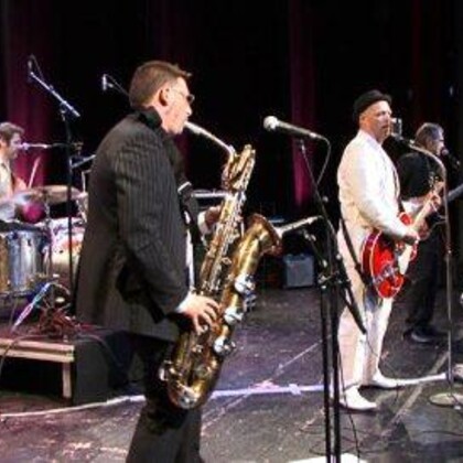 Greyhounddogs (rock'n'roll) recherche prestations en Belgique et en France