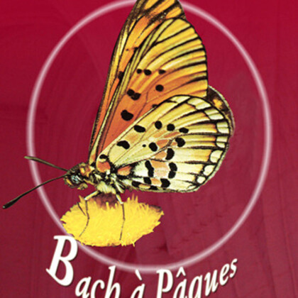 Festival Bach à Pâques