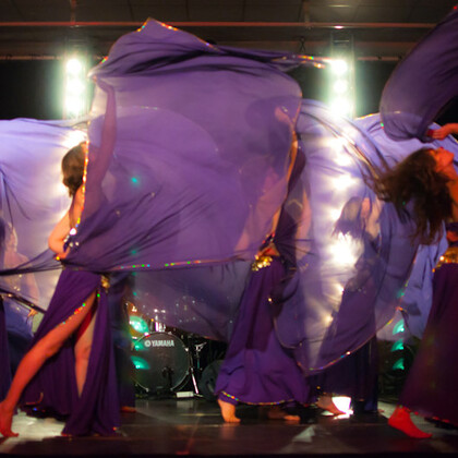 Stage VOILE Danse Orientale, durée 2H.............. à ACHERES (78)