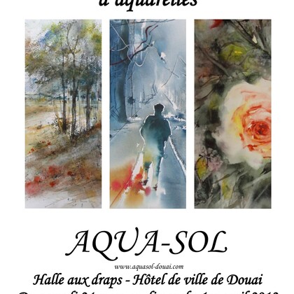 Salon Aquasol 2012