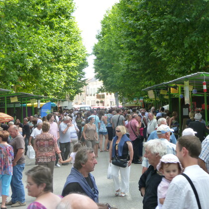 Rechercher animations variétés pour Foire d'AZE (71)