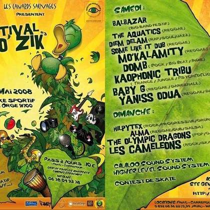 Le Festival Ecolo'Zik 2008 des Canards Sauvages lcs91