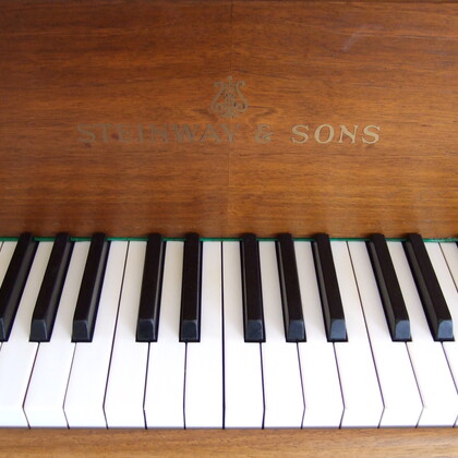 Vend Steinway M Hambourg grande qualite