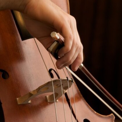 Professeur de violoncelle/cours Particuliers/cello teacher