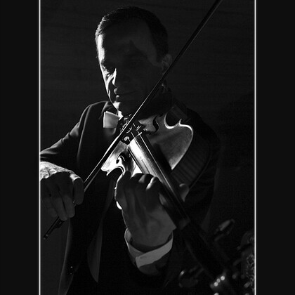 Cours de violon et d’alto à domicile 