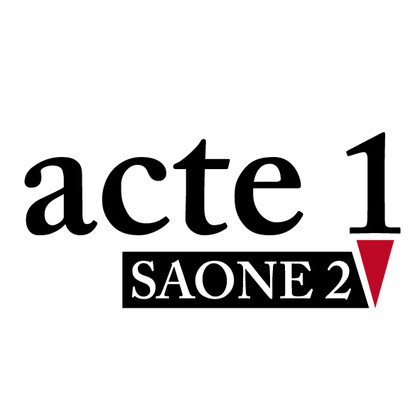 Cours de Théâtre - Formation/Coaching