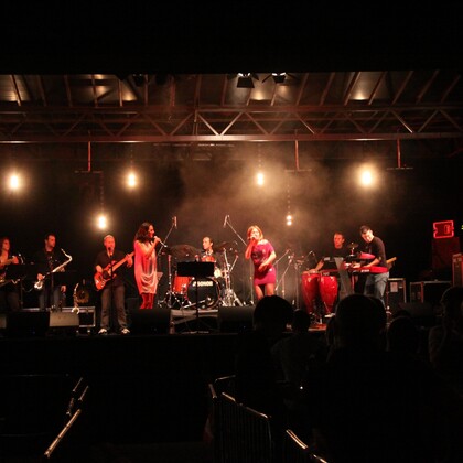 Soul Factory cover band cherche à se produire