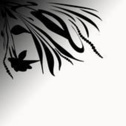 Acoustica