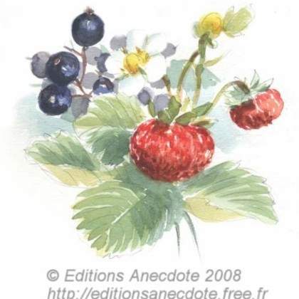 Stages d'aquarelle dans un village ancien de l'aube