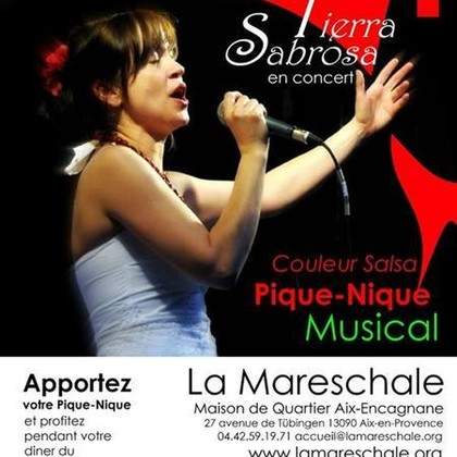 PIQUE NIQUE MUSICAL avec Tierra Sabrosa 