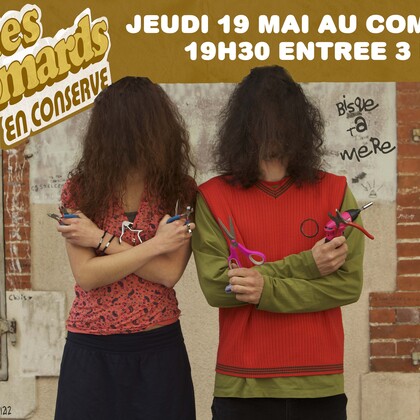 Concerts/ soirées privées avec le groupe de reprises les HOMARDS