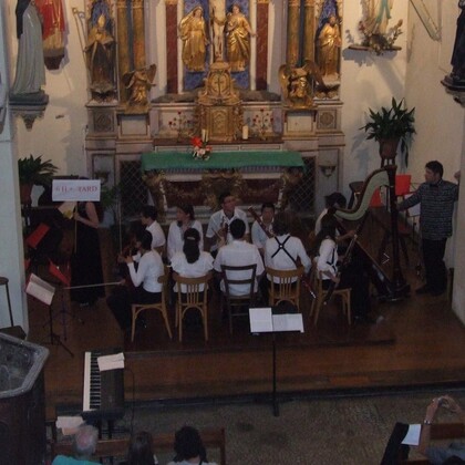 STAGE D'ORCHESTRE AOUT PYRENEES