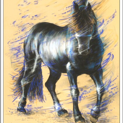 Laurent Frison - Peintre / Dessinateur animalier et portraitiste