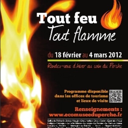 Tout Feu Tout Flamme