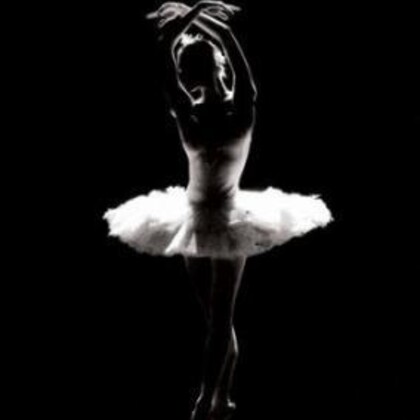 Cours de danse : Classique débutant adulte, Barre au Sol, Pilates (Paris)