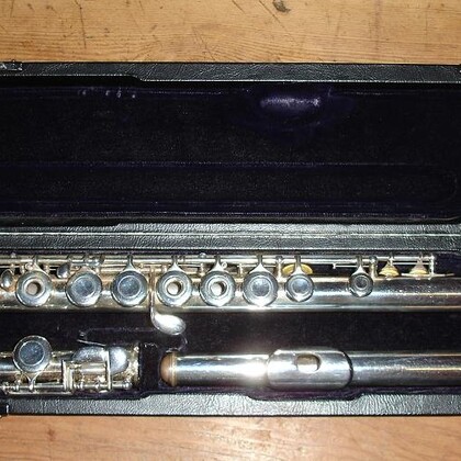 Flute traversière Trevor James 10ix A vendre