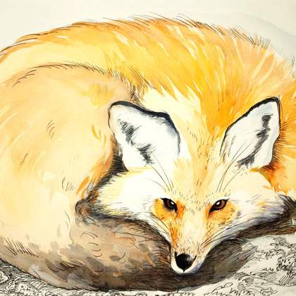 Illustratrice professionnelle donne cours particuliers de dessin et peinture