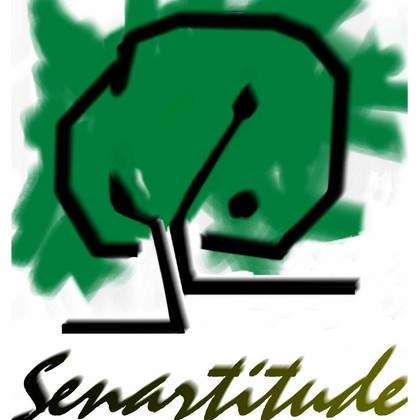 Senartitude, cours de dessin et de peinture