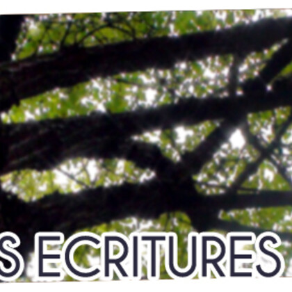 Stage Ecriture Ludique « Les Ecritures Nomades » 