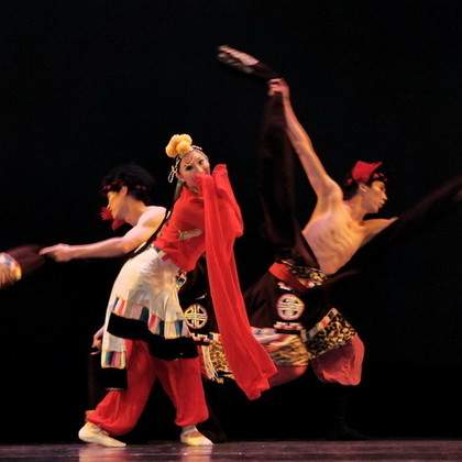 projet spectacle danse en 2013