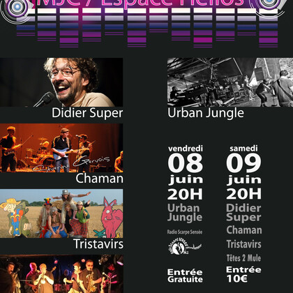 Concert hommage avec Didier Super !