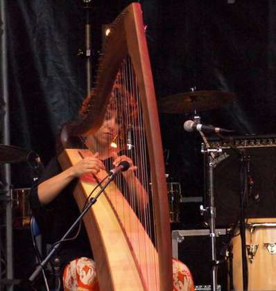 cours de harpe celtique et à pédales
