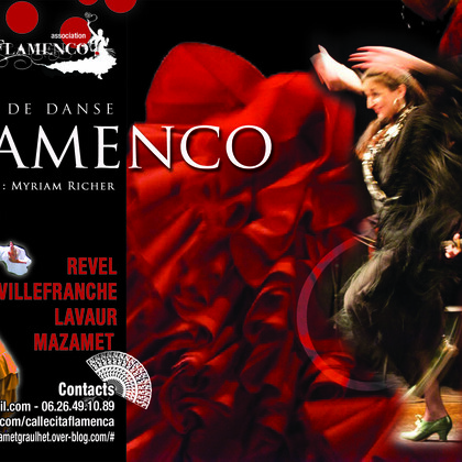 Cours de Danse Flamenco & Sévillanes
