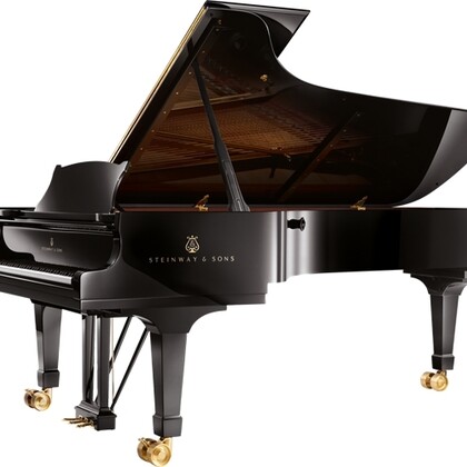 Steinway de Concert Modèle D, Noir Brillant