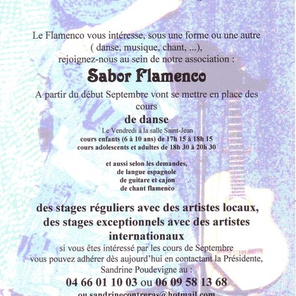 Cours de flamenco à Bellegarde/Gard