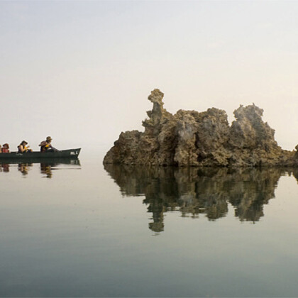 FRANCISCO TEIXEIRA - PHOTOGRAPHE - GENEVE - SUISSE
