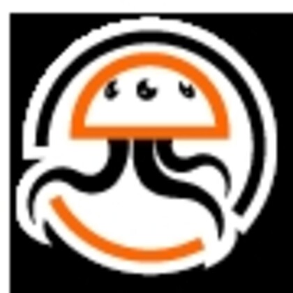Gellyfish Studio
