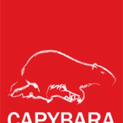 Capybara - ateliers d'arts plastiques