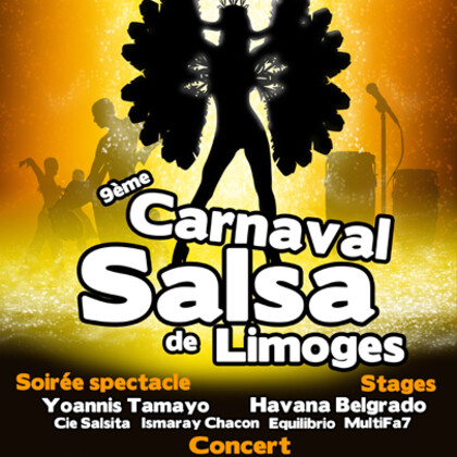 9ème Carnaval Salsa de Limoges, Soirée Spectacle