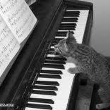 Cours de Chant Lyrique (TOUS NIVEAUX)