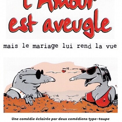L'amour est aveugle mais le mariage lui rend la vue