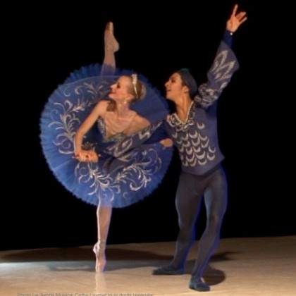 SPECTACLES MUSIQUE ET DANSE CLASSIQUE