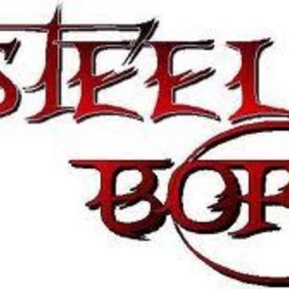 Steel Born, groupe de reprises rock dispo pour 2012 et 2013