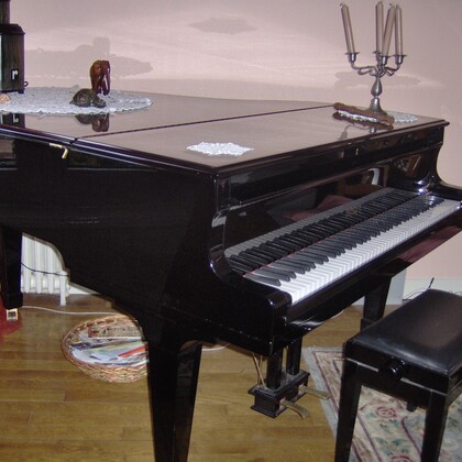 Piano Euterpe quart de queue